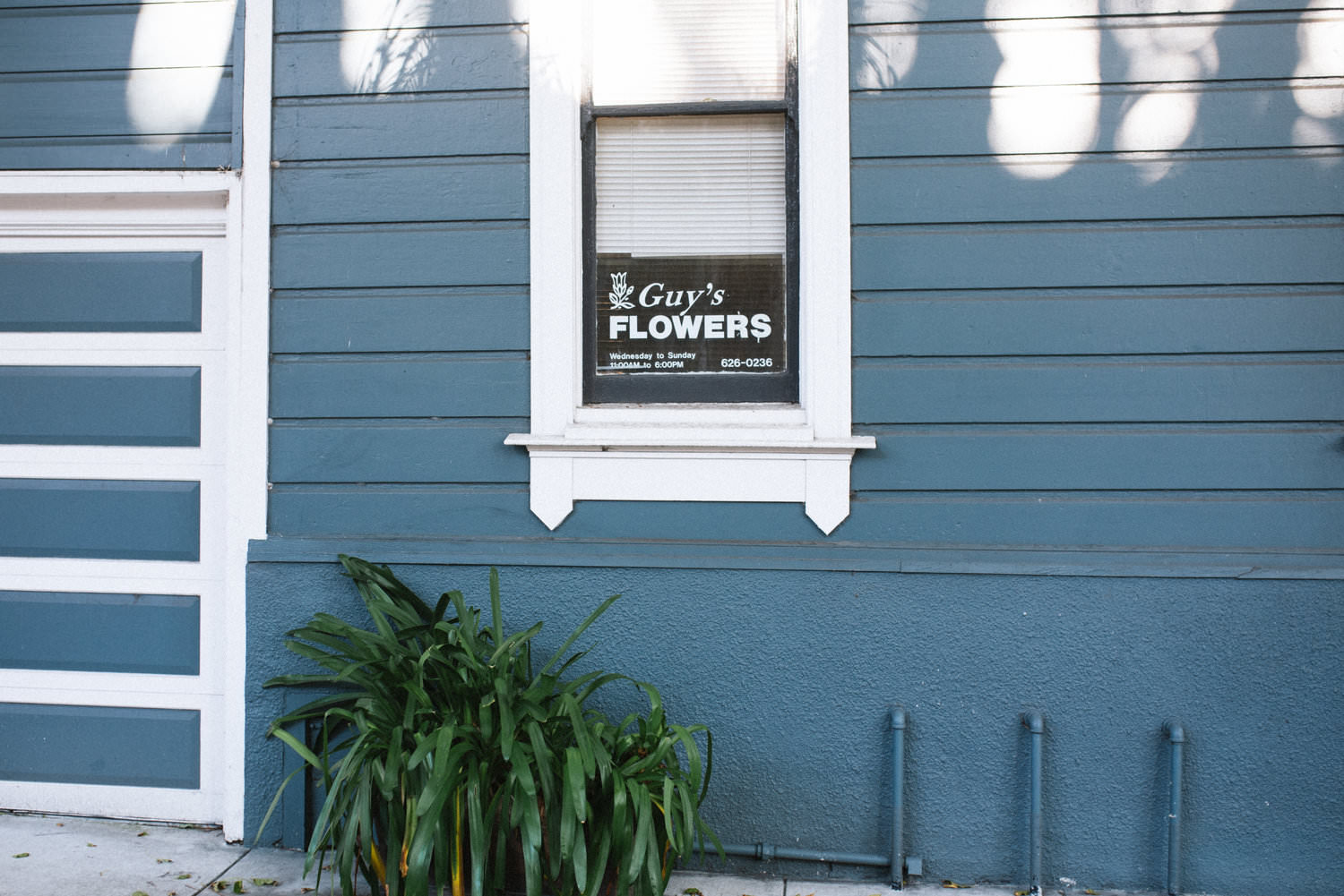  the-flower-guy-san-francisco